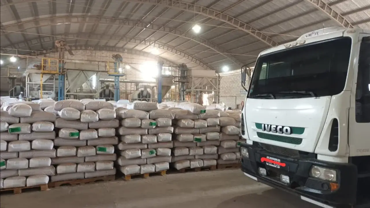 Bolsas de semilla de algodón deslintada estibadas en pallets, listas para despacho